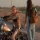 Harley Davidson & The Marlboro Man (1991) Mickey Rourke & Mitzi Martin
